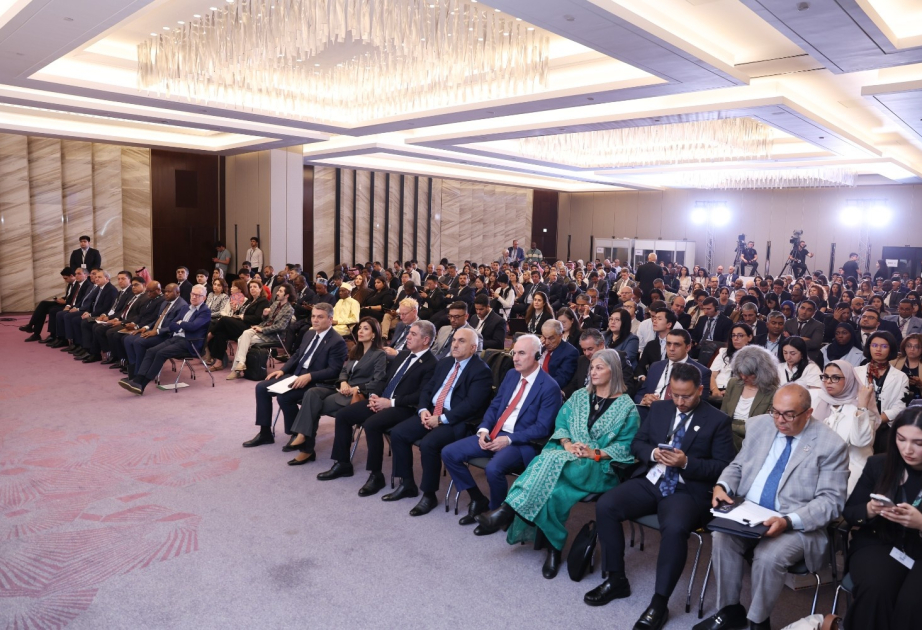 Bakıda 8-ci Dayanıqlı İnkişaf Məqsədləri Dialoqu təşkil olunub