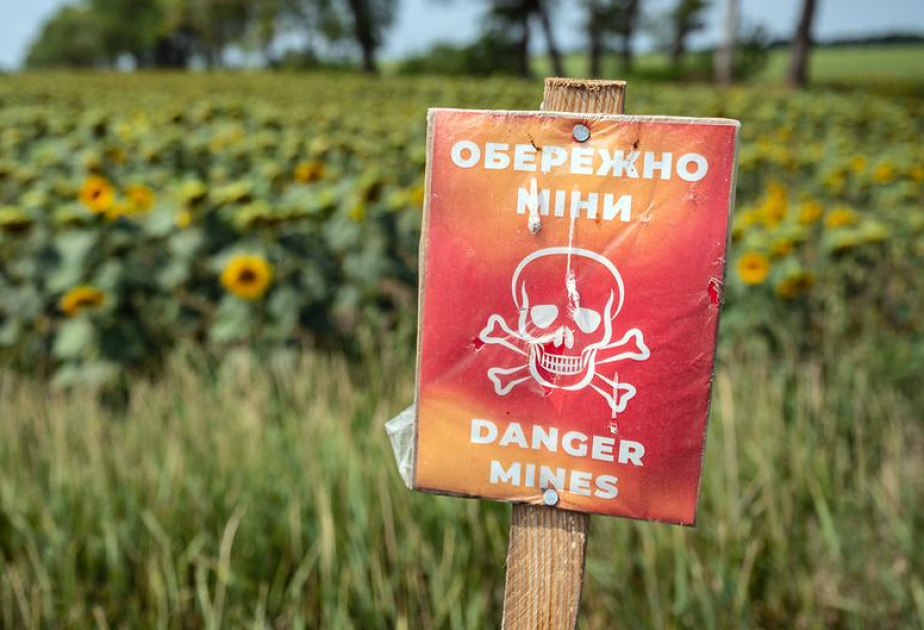 L'ONU exhorte au respect du traité d'interdiction des mines antipersonnel