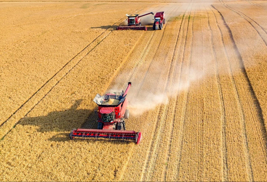 Kyrgyzstan expands sowing areas