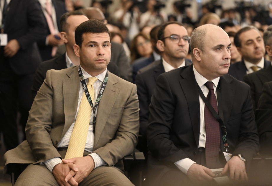 KOBİA: KOB-ların yaşıl keçidi üçün güclü tərəfdaşlıq və maliyyə dəstəyi vacibdir