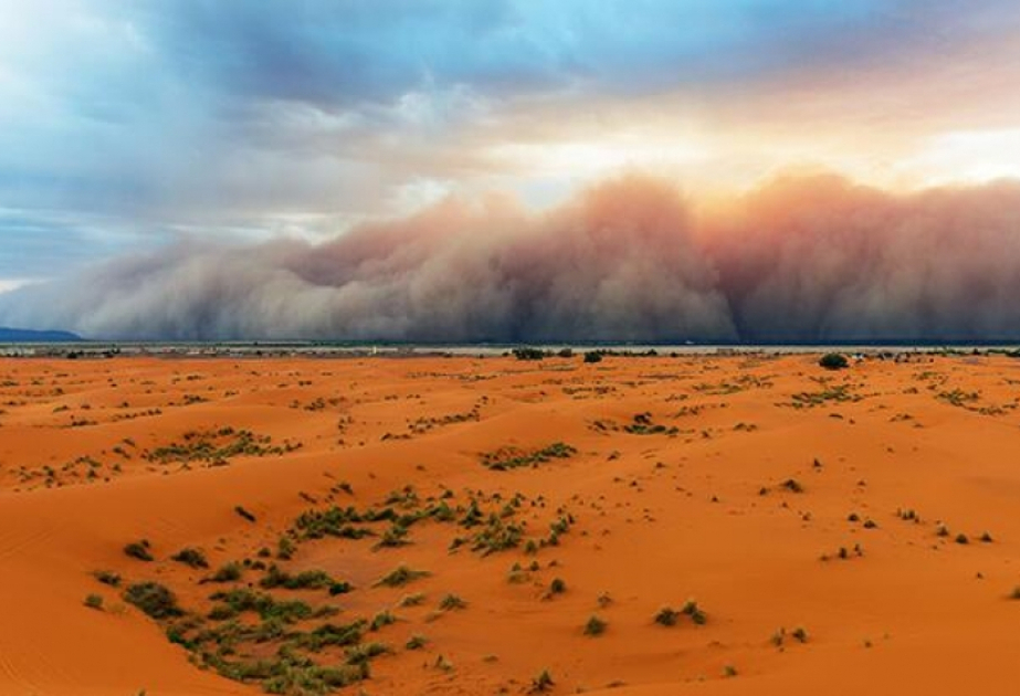 UAE redefines global fight against desertification, drought