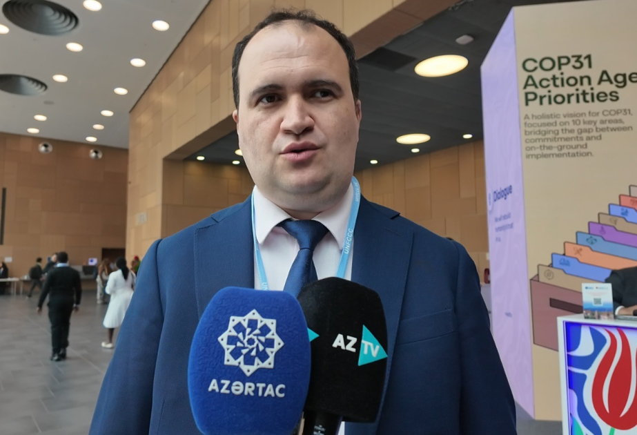 IDEA-nın eksperti: Xəzər dənizinin səviyyəsinin enməsi problemini dünya ictimaiyyətinə çatdırmaq lazımdır VİDEO