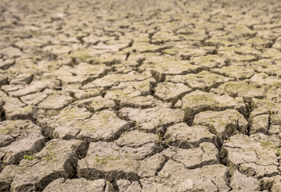 Thailand strengthens response to risk of prolonged El Nino