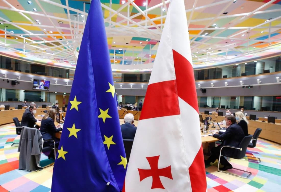 Avropa Parlamenti Gürcüstanla bağlı hesabat qəbul edib