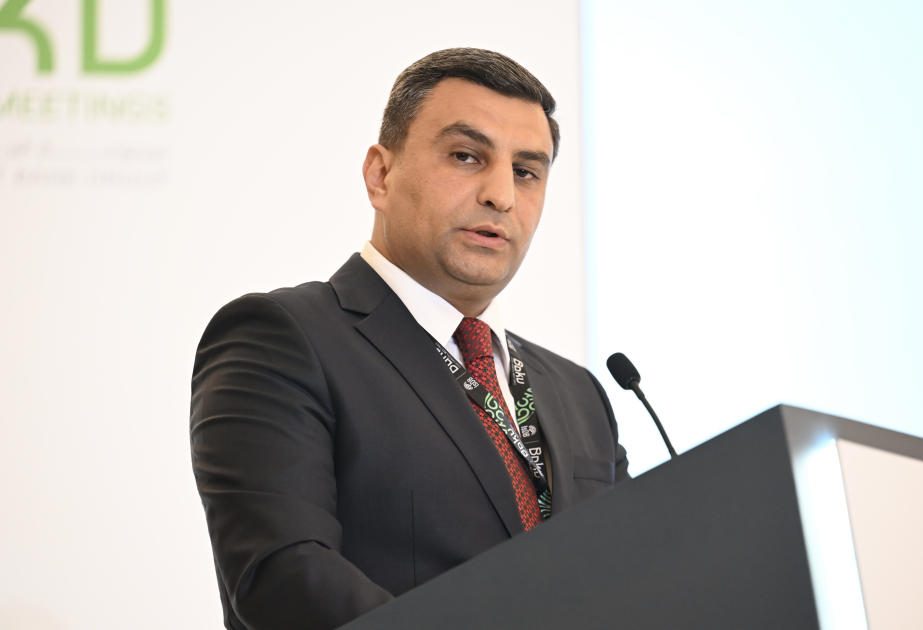 Hesablama Palatasının sədr müavini: Rəqəmsal transformasiya ali audit orqanlarına bir sıra üstünlüklər təqdim edir