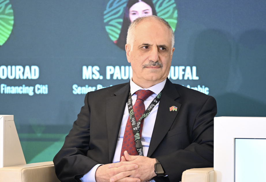 Nazir müavini: Türkiyə beynəlxalq bazarlarda 12 dövlət sukuku emissiyasını uğurla həyata keçirib