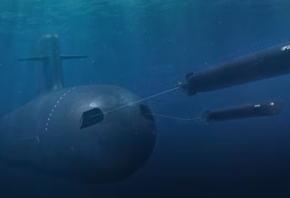 Niderland Fransadan F21 torpedasını alacaq