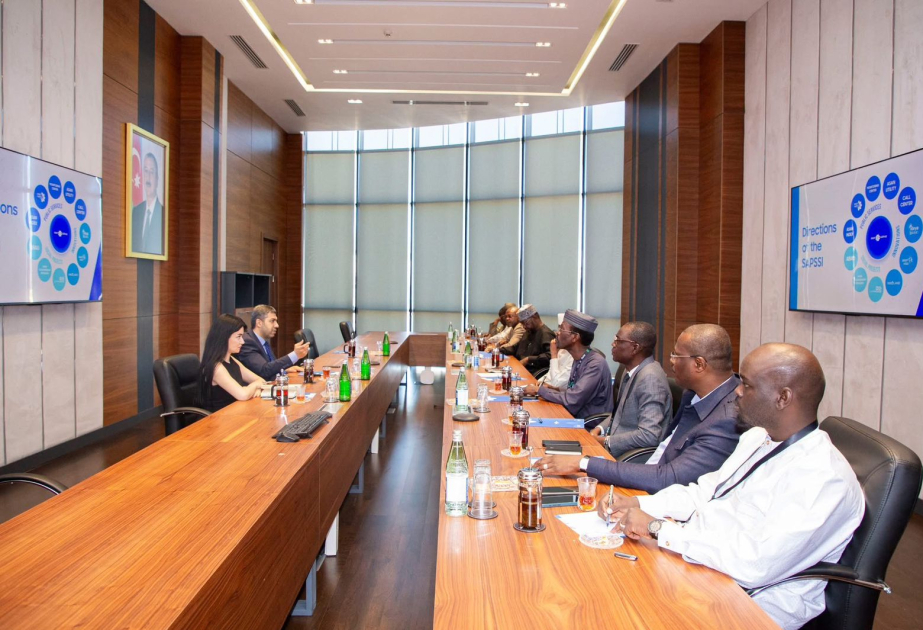 Chad keen on promoting “ASAN Khidmet” experience