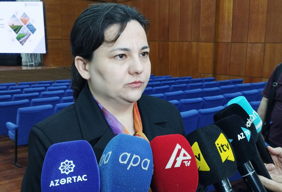 İlhamə Qədimova: Dövlət proqramı 2030-cu ilə qədər olan dövrü əhatə etsə də, sonrakı mərhələlərdə də davam etdiriləcək VİDEO