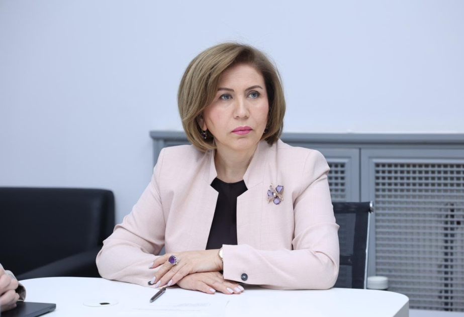 Komitə sədri Bahar Muradova Bakı şəhərində vətəndaşlarla görüşüb