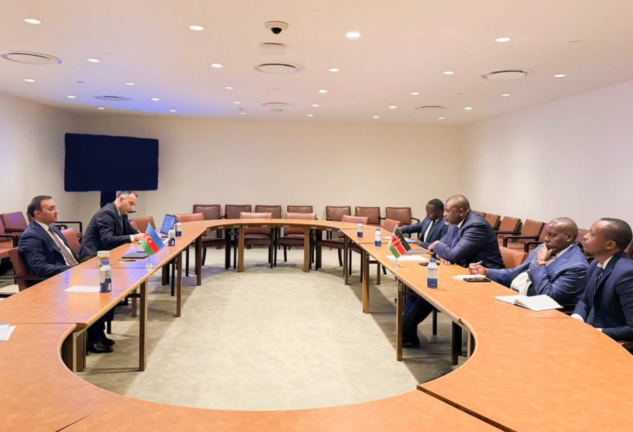 UN-hosted conference highlights Azerbaijan’s ASAN Khidmet model