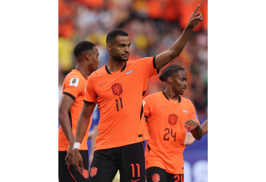 Fußball-WM: Niederlande besiegen Schweden - Tunesien scheidet gegen Japan aus