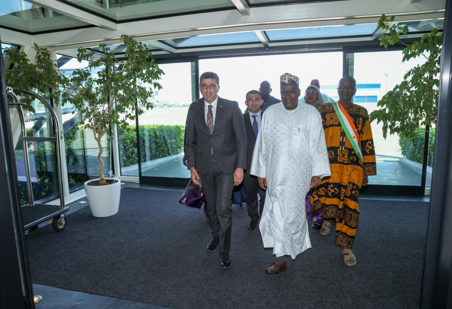 Niger Məsləhət Şurasının sədri ölkəmizə səfərə gəlib