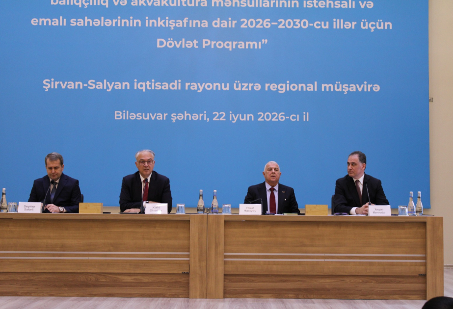 Şirvan-Salyan iqtisadi rayonu üzrə regional müşavirədə yeni Dövlət Proqramının hədəfləri müzakirə olunub - YENİLƏNİB VİDEO