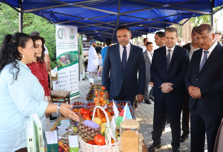 Samuxda ilin ilk məhsul festivalı