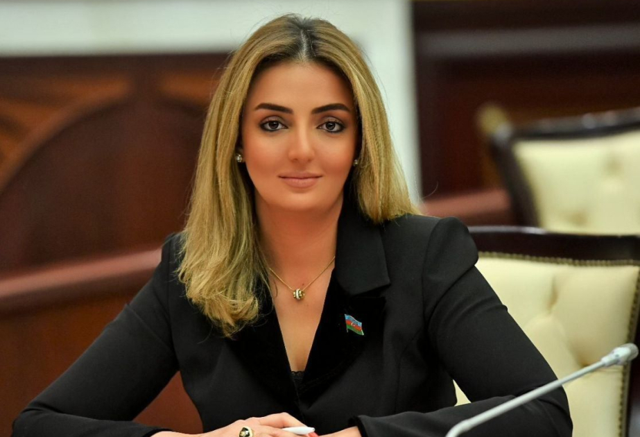 Azərbaycan müxtəlif siyasi sistemlərə malik dövlətlər arasında etibarlı körpü rolunu oynayır