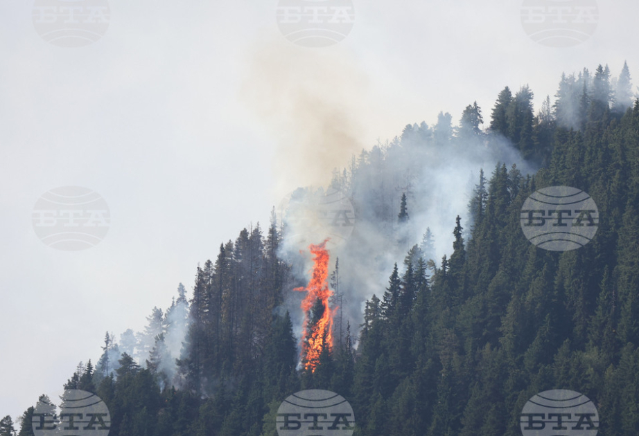 Environmental organization in Bulgaria warns of ıncreased wildfire risk