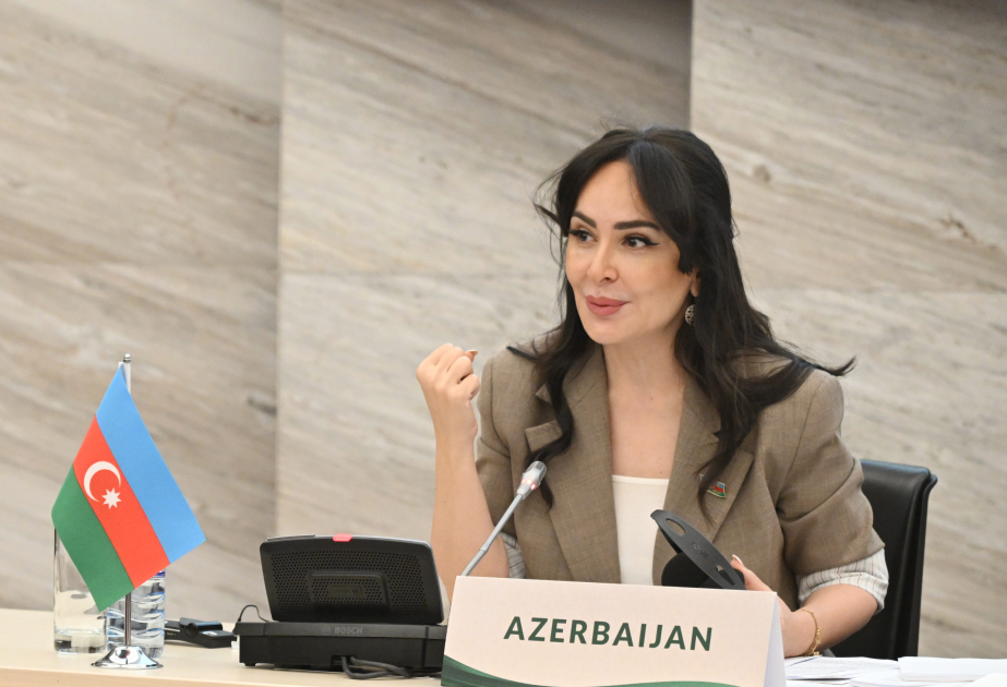 Deputat: Müasir çağırışlar İƏT üzvü dövlətləri arasında praktiki əməkdaşlıq mexanizmlərinin gücləndirilməsini tələb edir