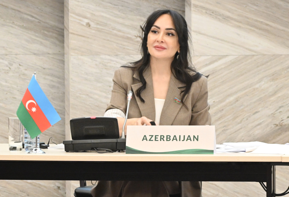 Deputat: Müasir çağırışlar İƏT üzvü dövlətləri arasında praktiki əməkdaşlıq mexanizmlərinin gücləndirilməsini tələb edir
