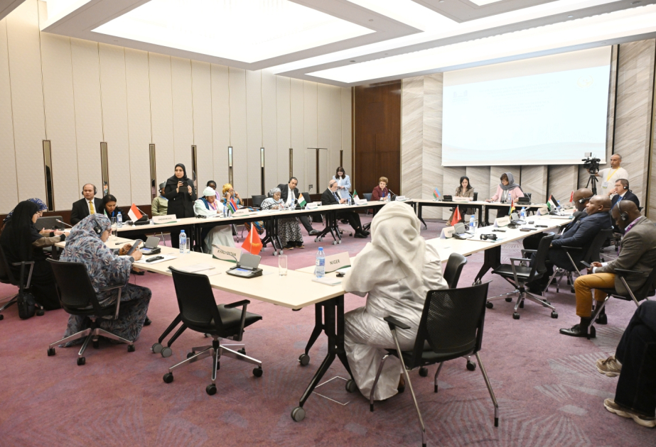 Baku hosts 12th meeting of Standing Specialized Committee on Human Rights, Women, and Family