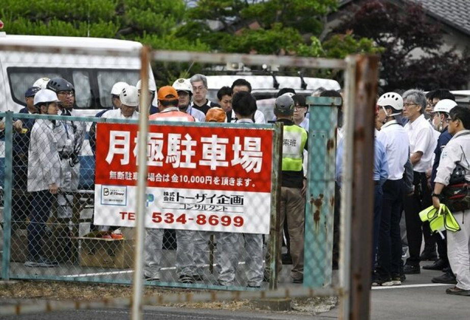 Japan bear attacks prompt cities to weigh emergency shooting rules