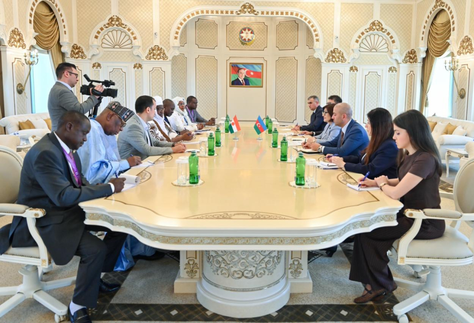 Niger Azərbaycanın enerji sahəsində təcrübəsindən yararlanmaq istəyir