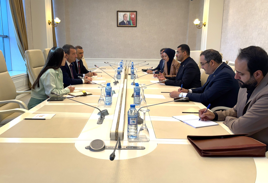 Treffen in Milli Majlis mit iranischem Parlamentarier