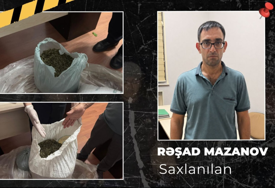 İsmayıllıda meşə ərazisində külli miqdarda narkotik vasitə aşkarlanıb