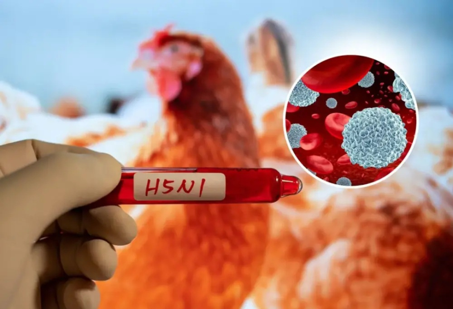 Third case of H5N1 bird flu detected in Australian mainland