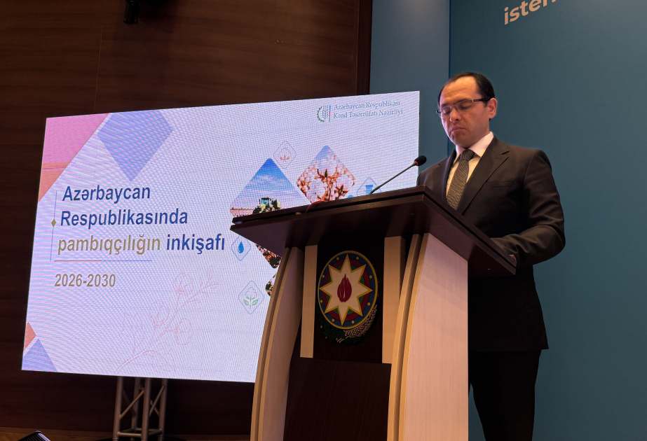 Azərbaycanda pambıqçılıq regionlarda 300 minədək insanın rifahına təsir göstərir