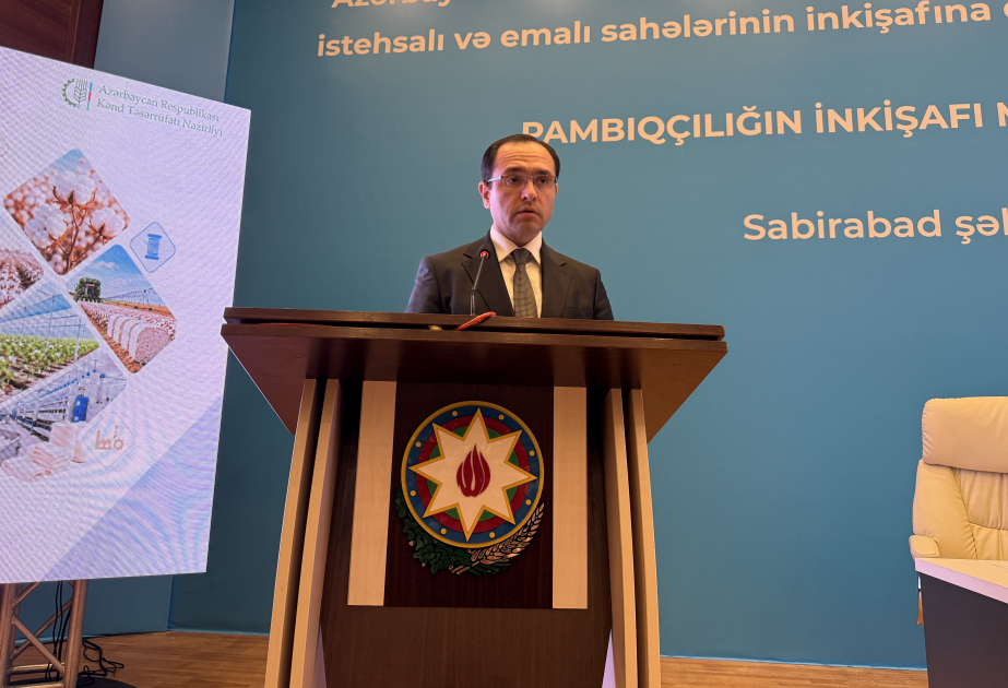 Dövlət Proqramı pambıqçılıqda məhsuldarlığın 50 sentnerə çatdırılmasını hədəfləyir