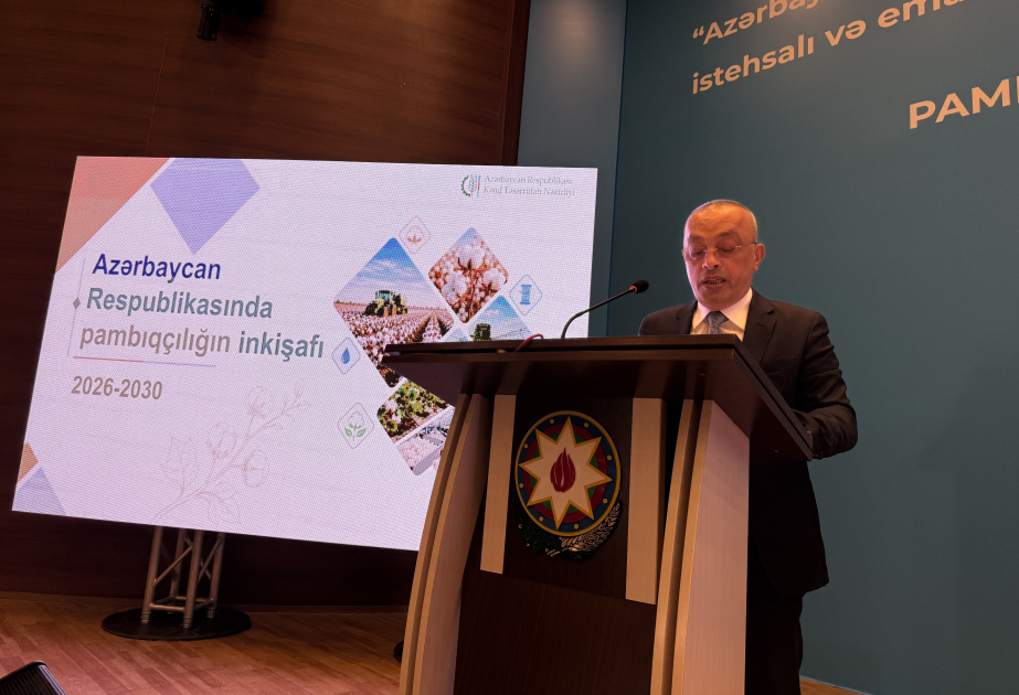 ADSEA sədri: 2025-ci ildə ölkə üzrə 55 kilometrdən çox kanal beton üzlüyə alınıb