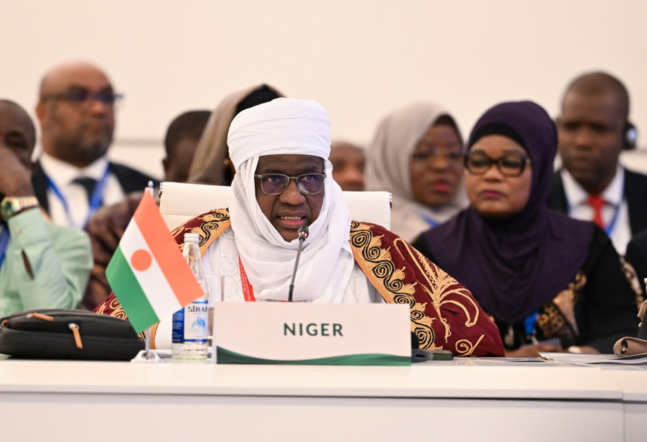 Niger parlamentinin sədri: İƏT Konfransı əməkdaşlıq üçün mühüm platformadır