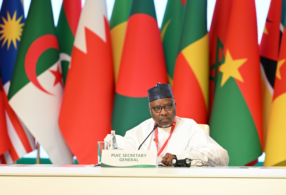 PUIC Secretary General welcomes Azerbaijani President`s contribution to Islamic cooperation