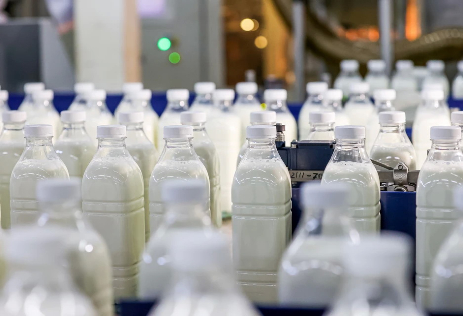 Ульяновская область нарастила поставки молочной продукции в Азербайджан