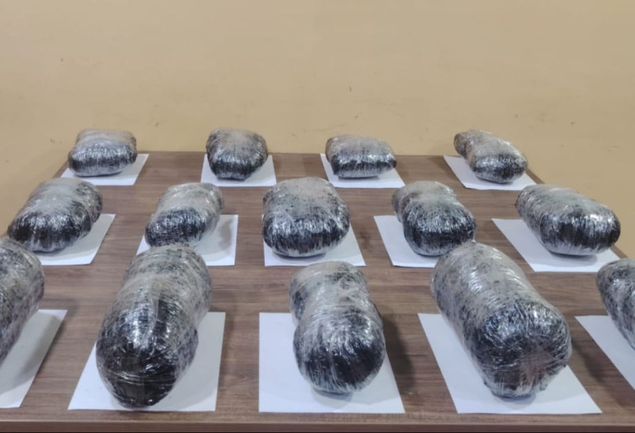 Dövlət sərhədini pozaraq ölkə ərazisinə keçməyə cəhd göstərən PUA zərərsizləşdirilib