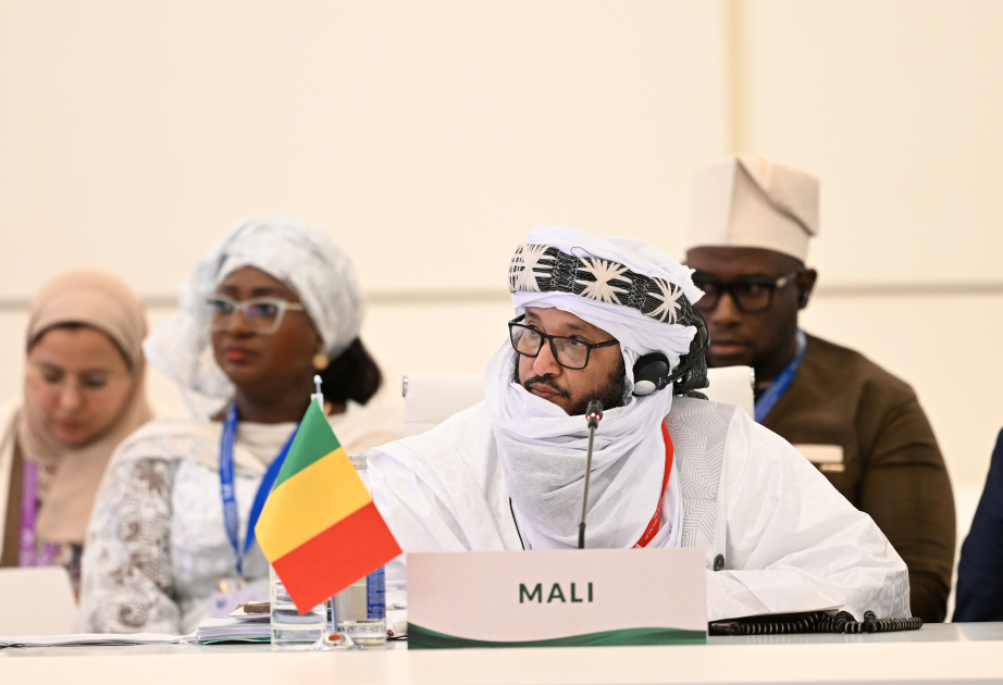 Mali Keçid Şurasının Vitse-prezidenti: İƏT-in institusional imkanları artırılmalıdır
