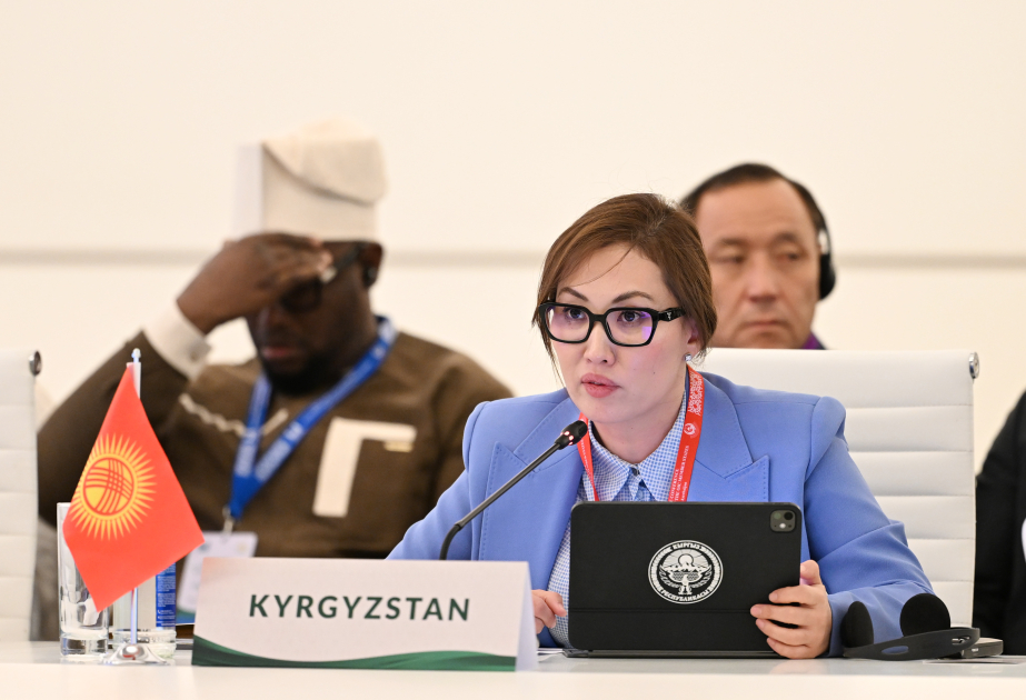 Jıldız Taalaibekqızı: İslam dünyası beynəlxalq sabitliyin qorunması ilə bağlı ciddi çağırışlarla üz-üzədir