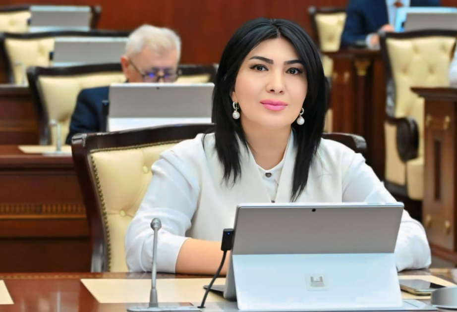 Azərbaycan Ordusu - Qürurumuzun qalxanı, Zəfərimizin müəllifi