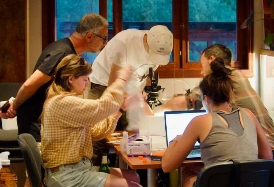 International expedition in SW Bulgaria collects some 300 butterfly species for first-ever genomic sequencing
