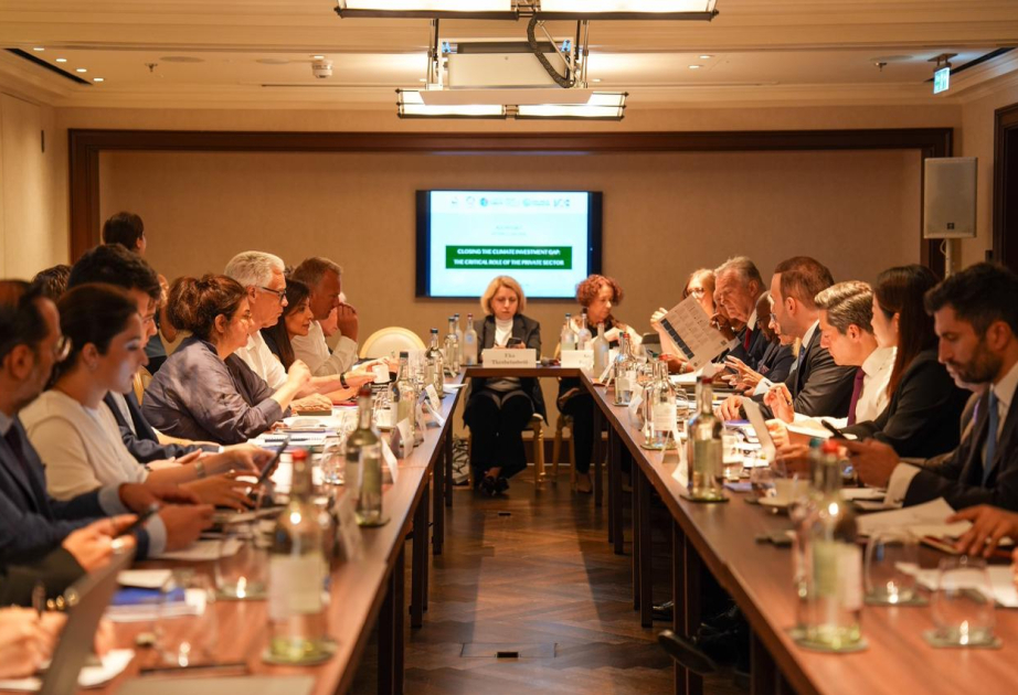 Nizami Ganjavi International Center organizes climate investment discussions in London