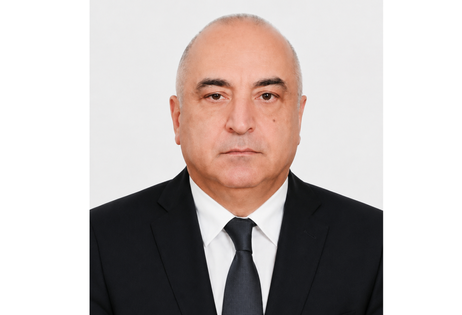 AzTU-nun kafedra müdiri Alman Akademik Mübadilə Xidmətinin qrantını qazanıb