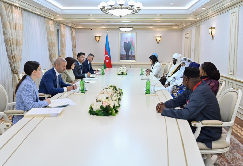 Milli Məclisin sədri Afrika Qrupu parlament sədrlərinin müavinləri ilə görüşüb