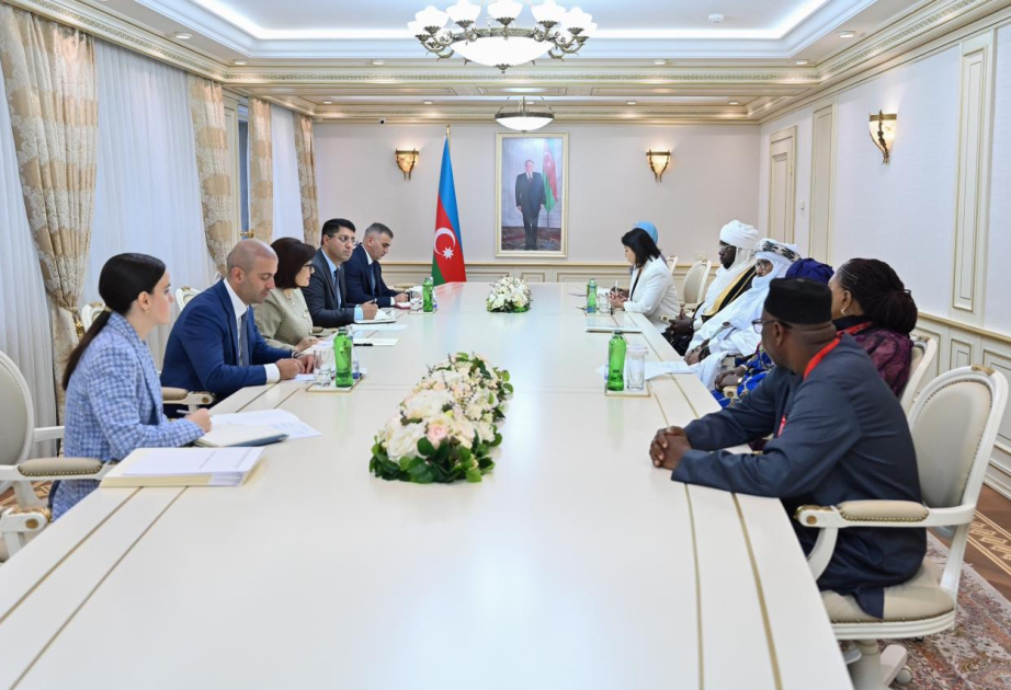 Azerbaijan, African countries explore parliamentary cooperation