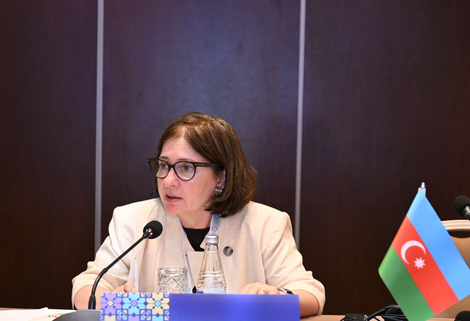 İndira Hacıyeva: Şəhərlər sağlam, hamı üçün əlçatan olmalıdır