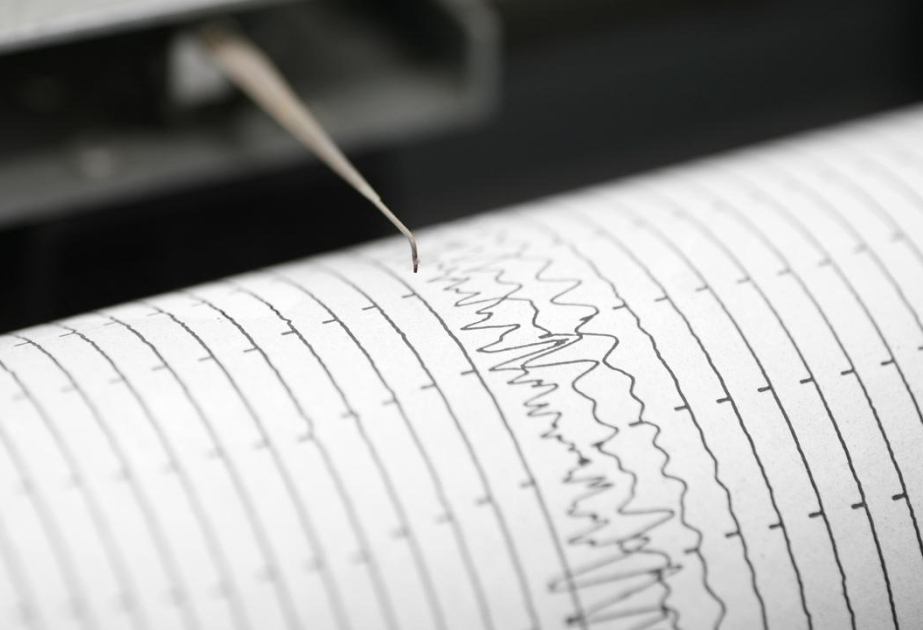 4.8 magnitude earthquake strikes near Venezuela
