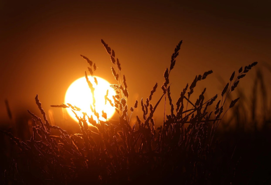 Almaniyada gecə temperaturu üzrə yeni rekord qeydə alınıb