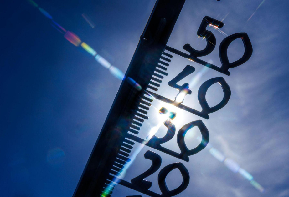 Temperaturrekord: 41,7 Grad in Ost-Brandenburg gemessen
