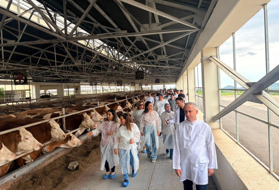 Aqrar Xidmətlər Agentliyinin əməkdaşları Xocalıda damazlıq heyvandarlıq kompleksi ilə tanış olublar