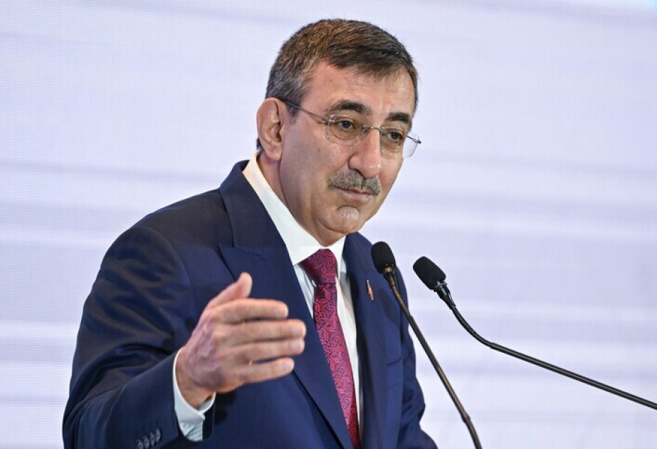 Türkiyənin vitse-prezidenti İslam ölkələrini daha sıx iqtisadi inteqrasiyaya çağırıb
